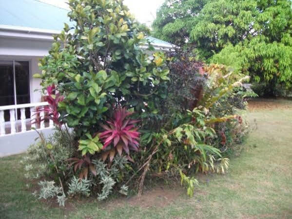 Marl Self Catering Villa Pointe La Rue Exterior photo